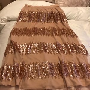 Anthropologie Maxi Skirt